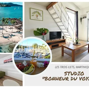 Ideal Couple, A 200m De Tres Belles Plages Pointe Du Bout! Apartment
