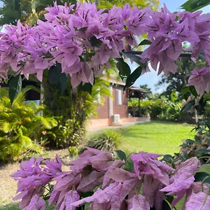 Eden Creole Landhaus